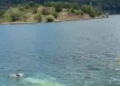 Βίντεο από την πτώση του ελικοπτέρου στη λίμνη Αώου- Η στιγμή που ο πιλότος βγαίνει στην επιφάνεια του νερού