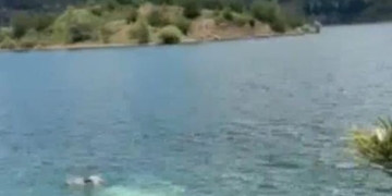 Βίντεο από την πτώση του ελικοπτέρου στη λίμνη Αώου- Η στιγμή που ο πιλότος βγαίνει στην επιφάνεια του νερού