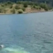 Βίντεο από την πτώση του ελικοπτέρου στη λίμνη Αώου- Η στιγμή που ο πιλότος βγαίνει στην επιφάνεια του νερού