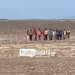 41 μετανάστες εντοπίστηκαν το βράδυ της Πέμπτης στη Χρυσή – Είχαν φτάσει μια μέρα νωρίτερα