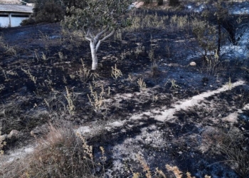 Αλγερία: Ζημιές σε 150 κατοικίες εξαιτίας πυρκαγιών - Εκκενώθηκε νοσοκομείο (Βίντεο)