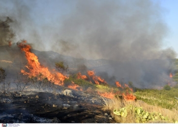 Αναβλήθηκε η προγραμματισμένη συνάντηση λόγω του θανάτου των δύο πυροσβεστών