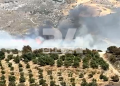 Αναζωπύρωση της φωτιάς στο Νότιο Ρέθυμνο – Συναγερμός στο Κουρταλιώτικο Φαράγγι