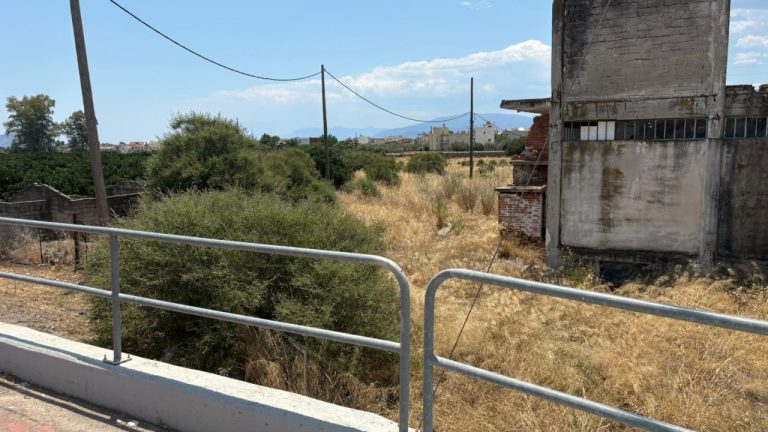 Άργoς: Δίωξη για απόπειρα ανθρωποκτονίας με ενδεχόμενο ρόλο σε ήρεμη ψυχική κατάσταση στους αστυνομικούς
