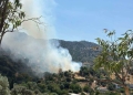 Χωρίς ενεργό μέτωπο η φωτιά στα Βορίζια