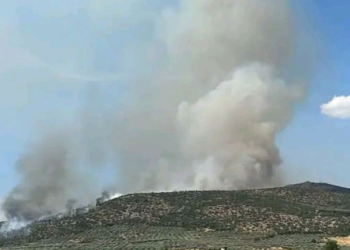Χωρίς ενεργό μέτωπο η πυρκαγιά στο Σπαθοβούνι Κορινθίας - Εστάλη 112 ετοιμότητας