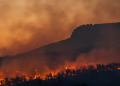Εννιά τραυματίες στις δασικές πυρκαγιές στην Πορτογαλία, που ζητεί ενισχύσεις