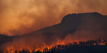 Εννιά τραυματίες στις δασικές πυρκαγιές στην Πορτογαλία, που ζητεί ενισχύσεις