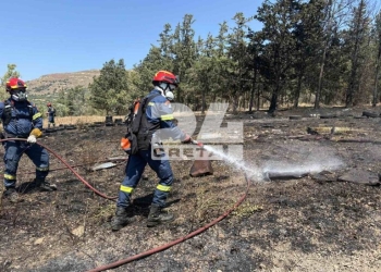 Φωτιά κοντά στις αρχαιότητες της Κνωσού – Εκκενώθηκε ο αρχαιολογικός χώρος (βίντεο & φωτογραφίες)