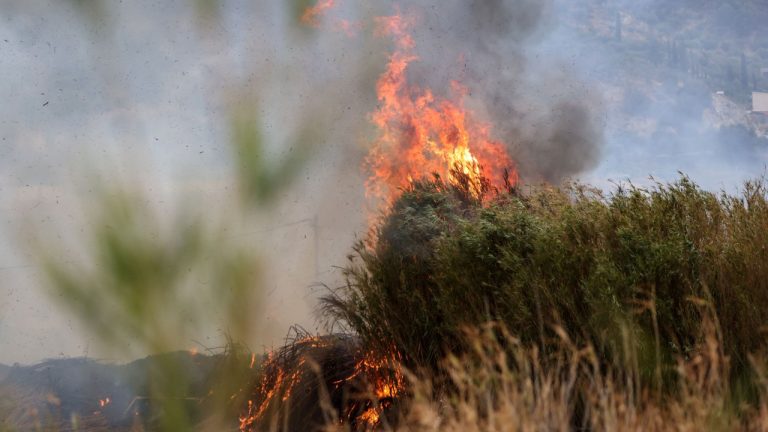 Φωτιά σε αγροτοδασική έκταση στον Ταρσό Βοιωτίας