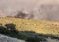 Φωτιά στη Σητεία: Οι θυελλώδεις άνεμοι καθήλωσαν τα εναέρια μέσα – Καλύτερη εικόνα αλλά η μάχη συνεχίζεται