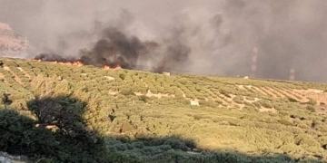 Φωτιά στη Σητεία: Οι θυελλώδεις άνεμοι καθήλωσαν τα εναέρια μέσα – Καλύτερη εικόνα αλλά η μάχη συνεχίζεται
