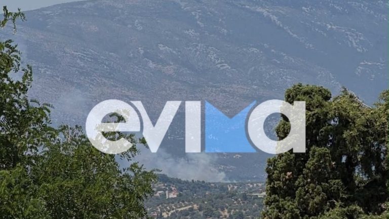 Φωτιά στην Εύβοια: Μήνυμα από το 112 για εκκένωση χωριού
