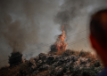 Φωτιά στην Κέρκυρα - Άμεση κινητοποίηση της Πυροσβεστικής - Δείτε βίντεο