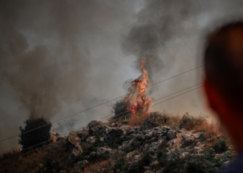 Φωτιά στην Κέρκυρα - Άμεση κινητοποίηση της Πυροσβεστικής - Δείτε βίντεο