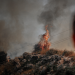 Φωτιά στην Κέρκυρα - Άμεση κινητοποίηση της Πυροσβεστικής - Δείτε βίντεο