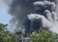 Φυλάκιση 3 ετών, χωρίς αναστολή, στον 70χρονο που προκάλεσε φωτιά στο Καλοχώρι - «Ήθελα να διώξω σφήκες»