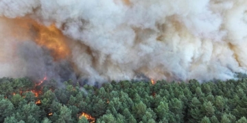 Γαλλία: Μεγάλη πυρκαγιά στο δάσος Φοντενεμπλό – Εκκενώσεις οικισμών κοντά στο Παρίσι