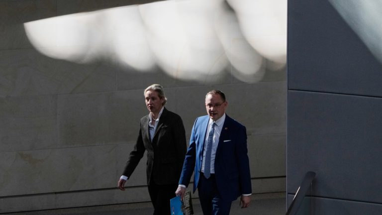 Γερμανία: Επανεξελέγησαν Βάιντελ και Χρουπάλα στην ηγεσία της AfD
