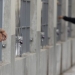 Η Διεθνής Αμνηστία καταγγέλλει πως σχεδόν 500 άνθρωποι έχουν πεθάνει στις φυλακές του Ελ Σαλβαδόρ