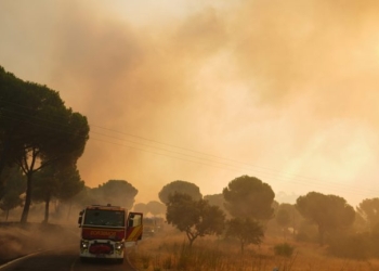 Ισπανία: Εθνική κατάσταση έκτακτης ανάγκης για τη μεγαλύτερη πυρκαγιά στην ιστορία της χώρας - Δεκάδες χιλιάδες εκτοπισμένοι