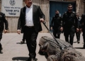 Ισραήλ: Άλλαξαν τον νόμο για να χρησιμοποιηθούν κροκόδειλοι ως… «φρουροί» φυλακών