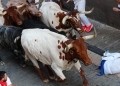 Κανονικά και φέτος οι ταυροδρομίες στην Παμπλόνα παρά τις αντιδράσεις - Δείτε φωτό