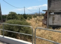 Καταδίωξη στο Άργος: Εγκεφαλικά νεκρός ο νεαρός που πυροβολήθηκε από τους αστυνομικούς