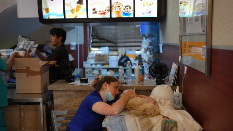 Κέντρο διάσωσης ζώων "McDonald’s": Οι Βενεζουελάνοι έφτιαξαν ένα προσωρινό θεραπετήριο για τα κατοικίδια (Φωτό)