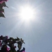 Κι όμως η Ευρώπη βράζει αλλά η Κρήτη αντέχει: Ιούλιος χωρίς καύσωνα για πρώτη φορά μετά από χρόνια