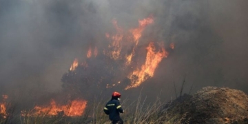 «Κίτρινος» συναγερμός, σήμερα, στην Κρήτη – Αυξημένος ο κίνδυνος πυρκαγιάς
