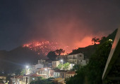 Πλωμάρι
