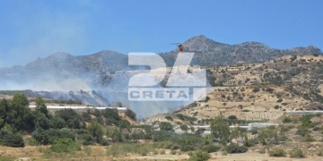 Κρήτη: 70 στρέμματα στάχτη άφησαν πίσω τους οι φωτιές στην Κρήτη – Πυροσβεστικές δυνάμεις παραμένουν σε Ιεράπετρα και Μαλεβίζι
