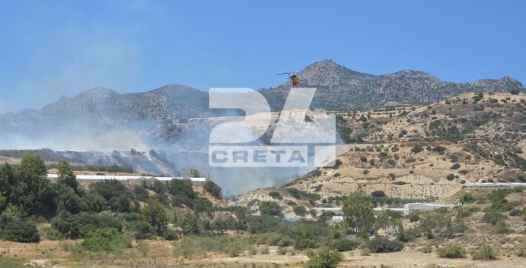 Κρήτη: 70 στρέμματα στάχτη άφησαν πίσω τους οι φωτιές στην Κρήτη – Πυροσβεστικές δυνάμεις παραμένουν σε Ιεράπετρα και Μαλεβίζι