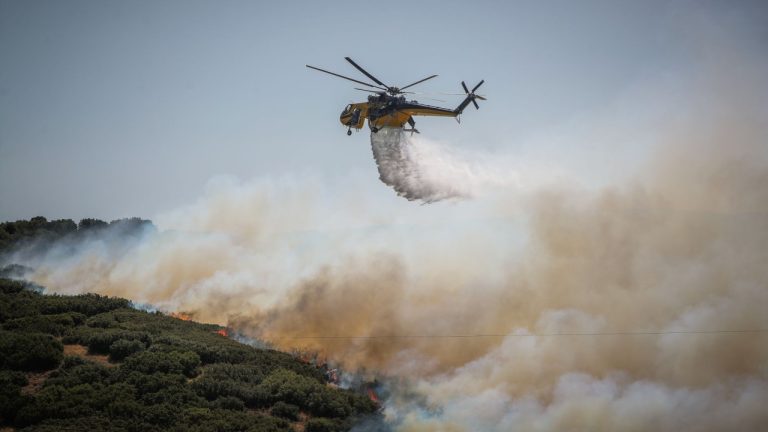 Λακωνία: Φωτιά στον Αγέρανο Γυθείου - Επιχειρούν εναέρια και επίγεια μέσα- Mήνυμα 112