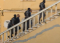 «Μαφία των Χανίων»: Στον ανακριτή ο ιατροδικαστής και ο καθηγητής Τοξικολογίας