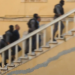 «Μαφία των Χανίων»: Στον ανακριτή ο ιατροδικαστής και ο καθηγητής Τοξικολογίας