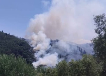 Μαίνονται οι πυρκαγιές στα Βασιλικά Κέρκυρας και στα Κουφάλια Θεσσαλονίκης