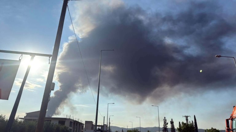 Μεγάλη φωτιά στον Ασπρόπυργο - Ισχυρή δύναμη της Πυροσβεστικής επί τόπου