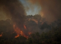 Μυτιλήνη: Στα 614 στρέμματα η πρώτη εκτίμηση για την καμένη έκταση από την πυρκαγιά στο Πλωμάρι