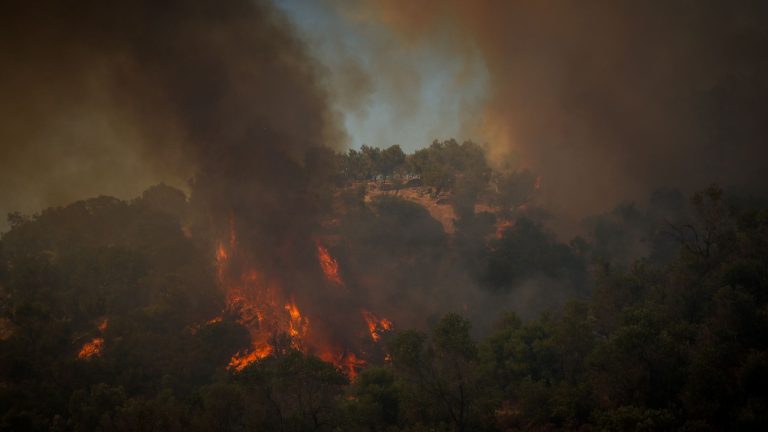 Μυτιλήνη: Στα 614 στρέμματα η πρώτη εκτίμηση για την καμένη έκταση από την πυρκαγιά στο Πλωμάρι