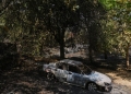 Ο πύρινος εφιάλτης συνεχίζεται σε Ισπανία και Γαλλία – Ένας νεκρός στη Βαλένθια