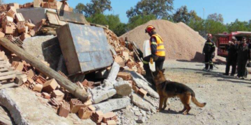 Οι ήρωες δεν φορούν πάντα στολή: Η ιστορία της Ελπίδας που συγκίνησε την ΕΜΑΚ και όλη την Ελλάδα
