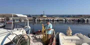 Οι λαγοκέφαλοι «εξαφάνισαν» τα χταπόδια στην Κρήτη