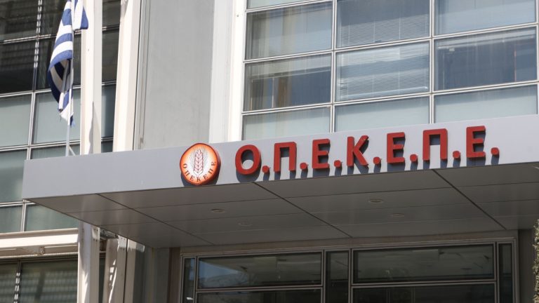 ΟΠΕΚΕΠΕ: Ομόφωνα ένοχοι για υπόθαλψη εγκληματία και παράβαση καθήκοντος Μελάς και Ρέππα