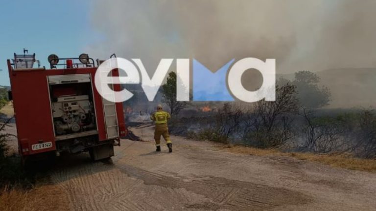 Οριοθετημένη και χωρίς ενεργό μέτωπο η φωτιά στο Αλιβέρι Εύβοιας