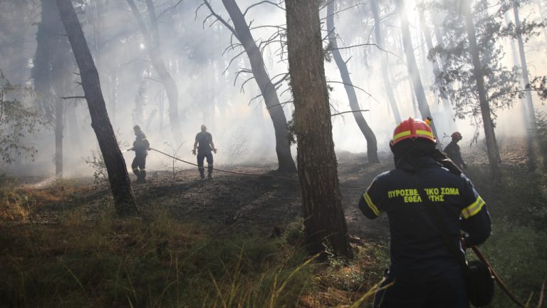 Οριοθετήθηκε η φωτιά πλησίον του κτήματος Νάσιουτζικ στην Παλλήνη - Εστάλη 112 στους κατοίκους