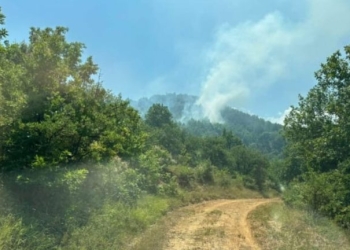 Οριοθετήθηκε η φωτιά στα Κανάλια Μουζακίου