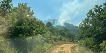 Οριοθετήθηκε η φωτιά στα Κανάλια Μουζακίου