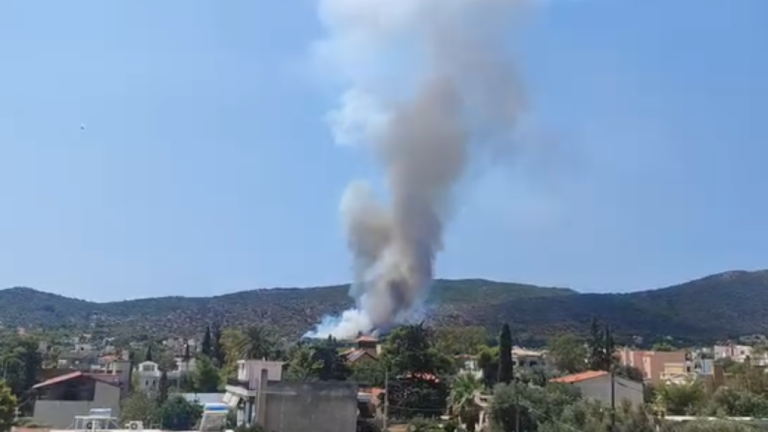 Οριοθετήθηκε η φωτιά στα Σελίνια Σαλαμίνας - Στη «μάχη» και 3 εναέρια μέσα